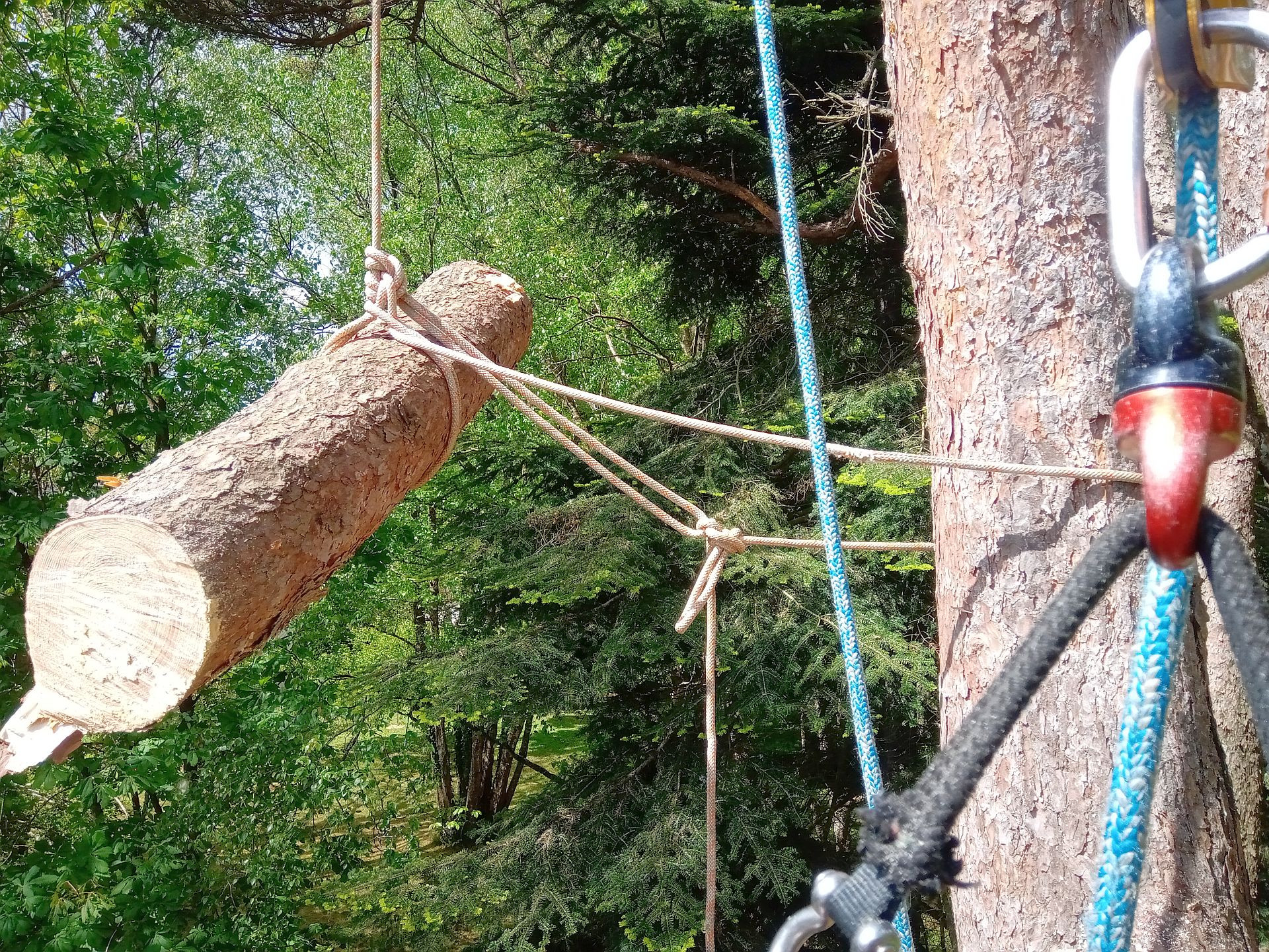 Sylvatica_Evacuation_branche_coupee_corde_1900px