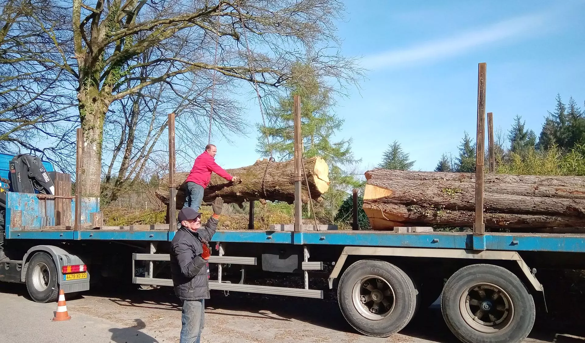 Chargement tronc arbre après abattage dans les Côtes d'Armor