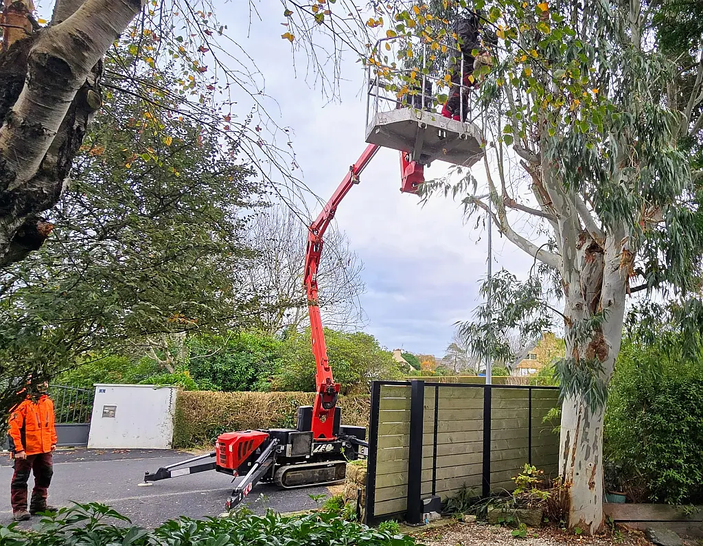 Entretenir, tailler et sublimer un jardin arboré breton